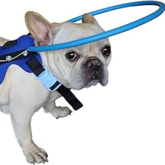 Halo Dog Safety Bumper Harness Blind Deaf Senior Hospice Pet Love Care Walk Pug - Picture 8 of 8